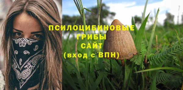 ПСИЛОЦИБИНОВЫЕ ГРИБЫ Абинск