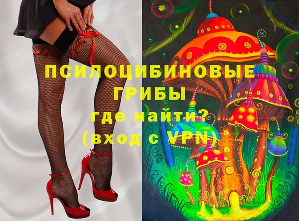 таблы Пересвет